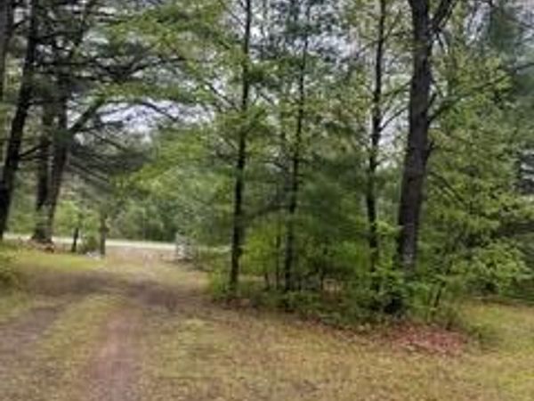 5055 Adams Road , Sherman Twp, MI 48624