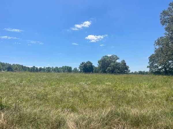 2380 WATKINS DR, Williston, TN 38076