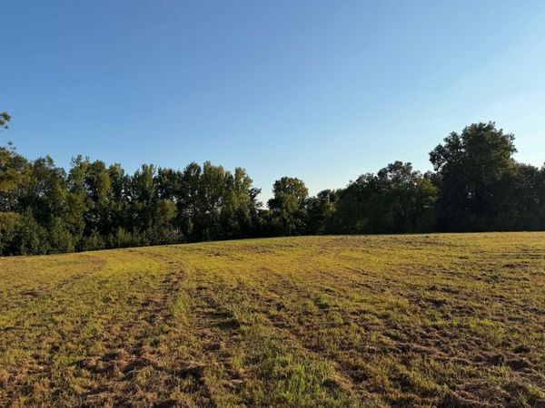 2380 WATKINS DR, Williston, TN 38076