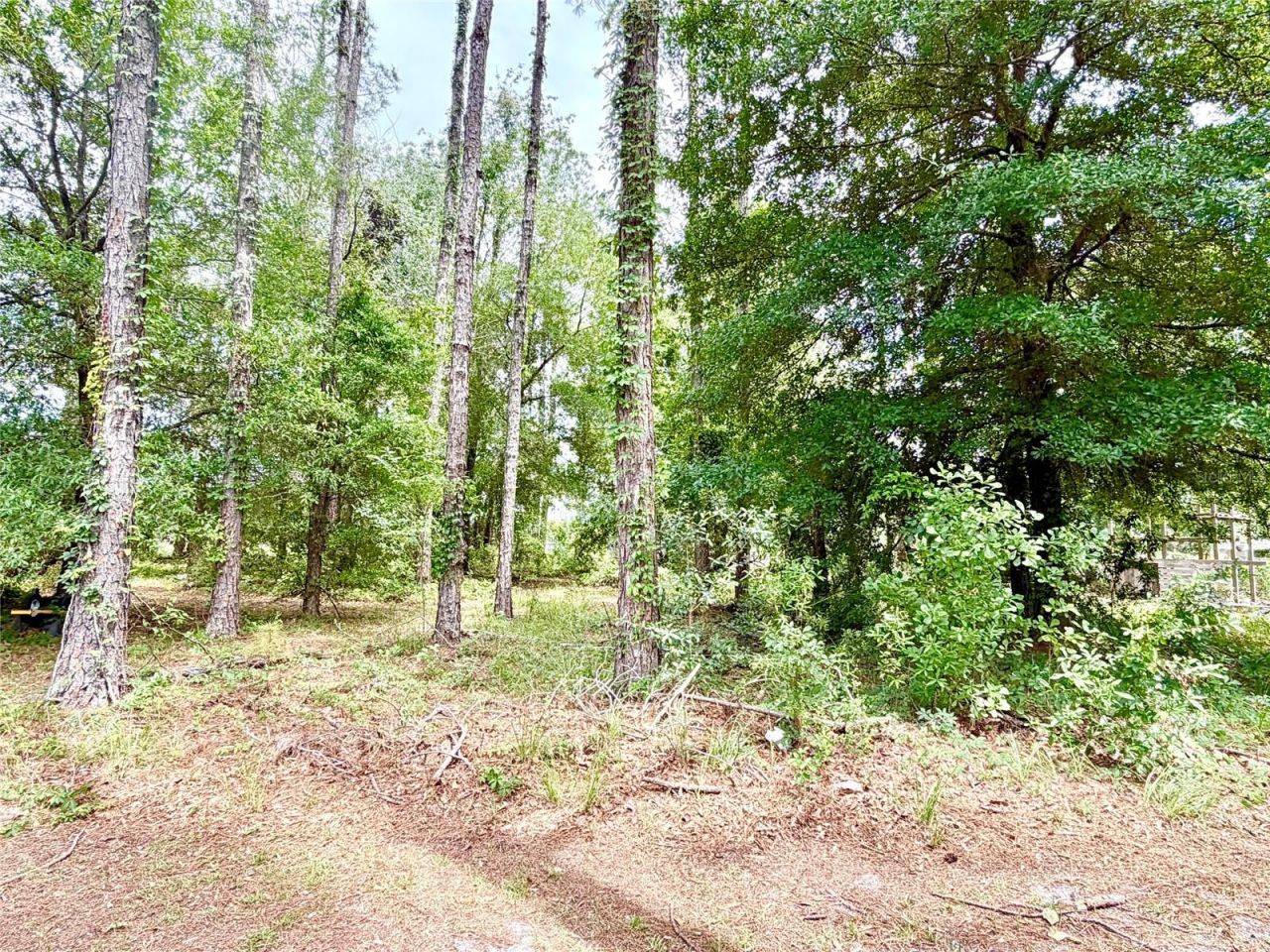 9972 SW 151st Place , Lake Butler, FL 32054 Photo