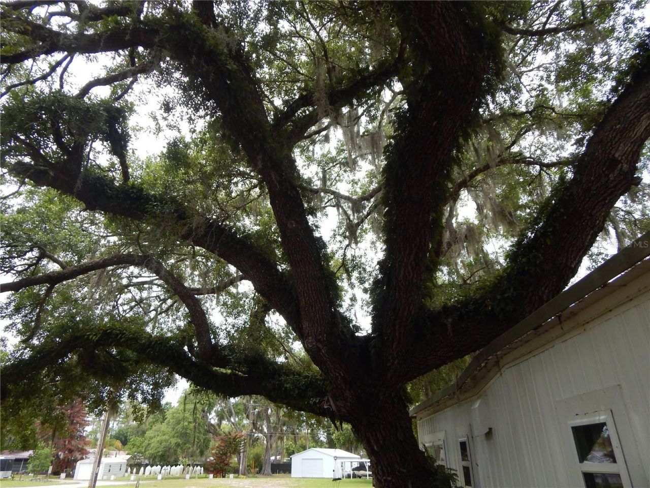 19 Anchor Inn Road , Lake Wales, FL 33898 Photo