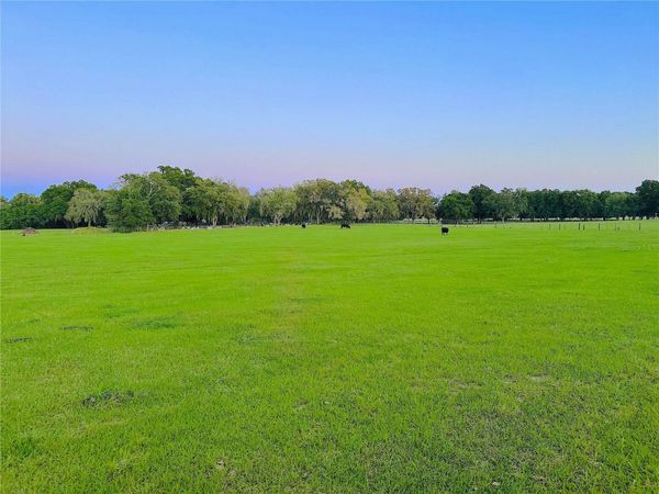 10710 MCINTOSH ROAD , THONOTOSASSA, FL 33592