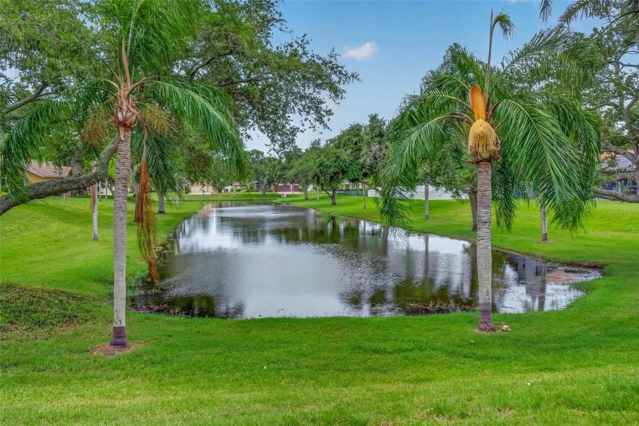 14286 Sunshine Court , Largo, FL 33774 Photo