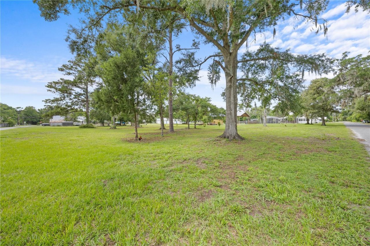 1005 11th Avenue, Wellborn, FL 32094 Photo
