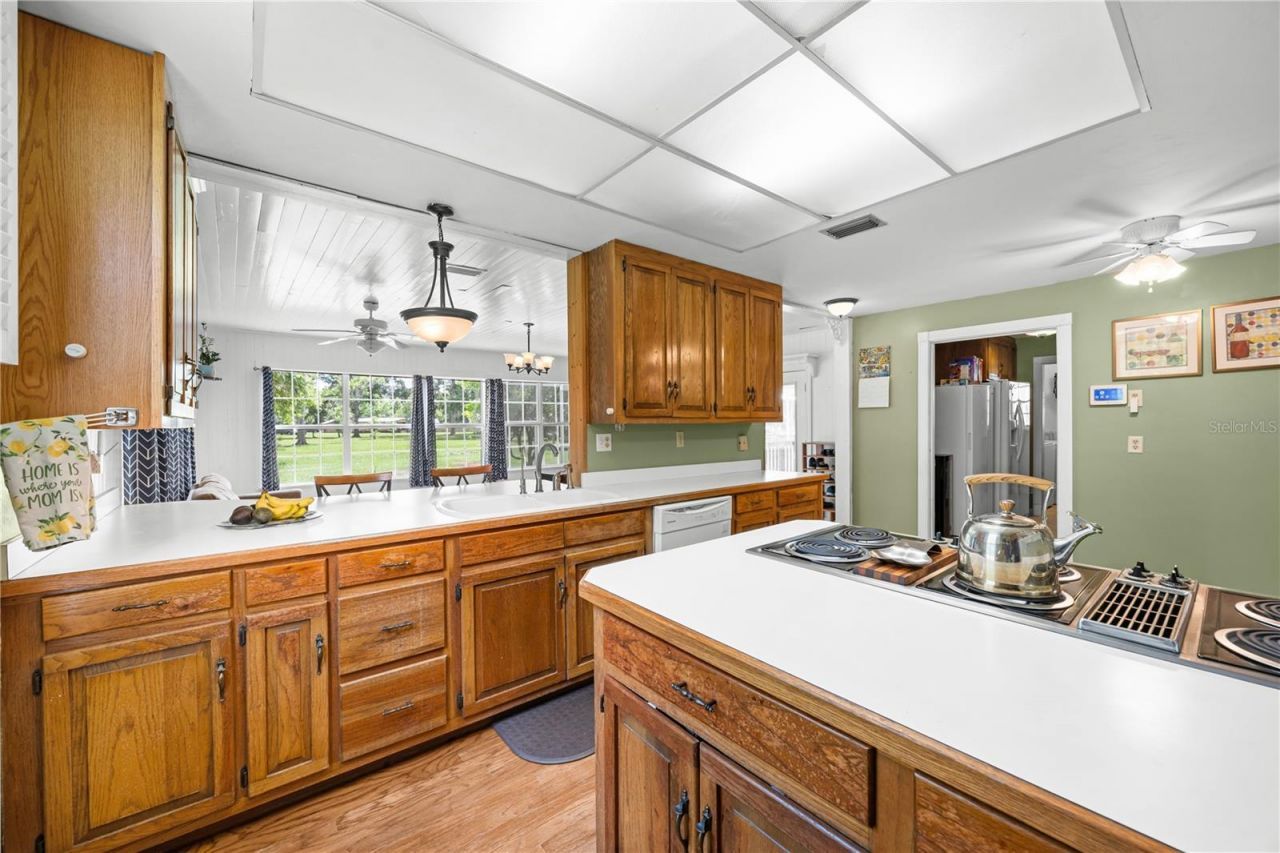 1005 11th Avenue, Wellborn, FL 32094 Photo