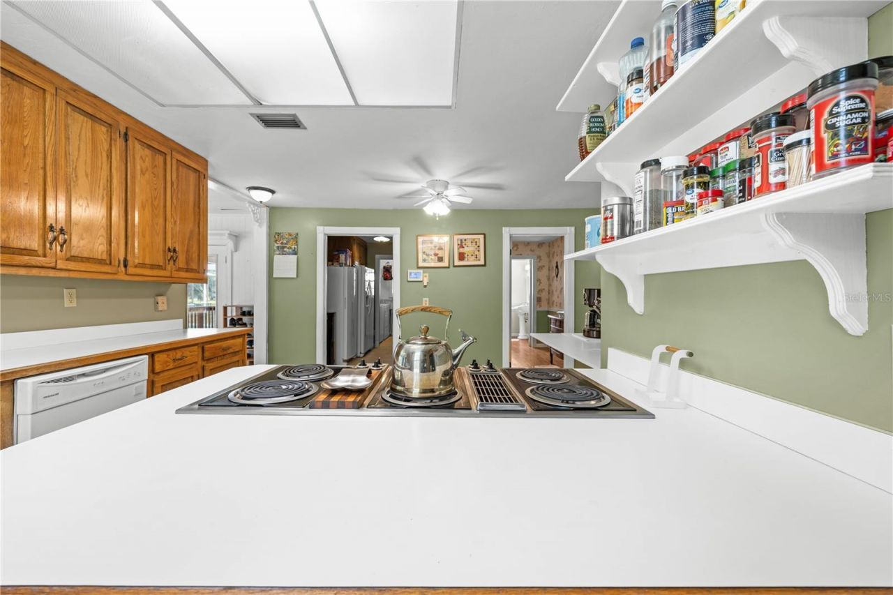 1005 11th Avenue, Wellborn, FL 32094 Photo