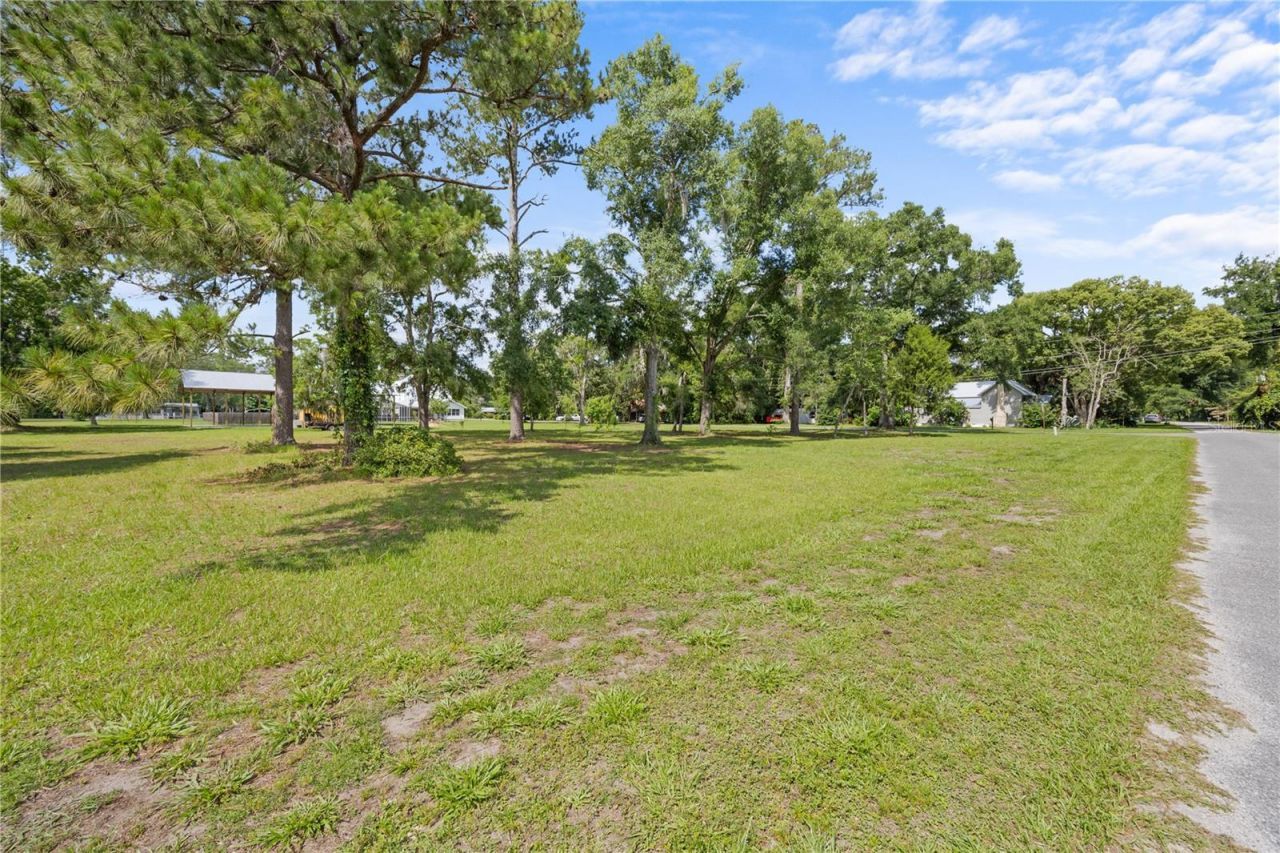 1005 11th Avenue, Wellborn, FL 32094 Photo