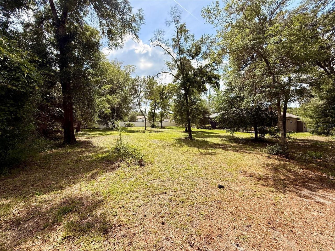 13110 Bamboo Street , Spring Hill, FL 34609 Photo