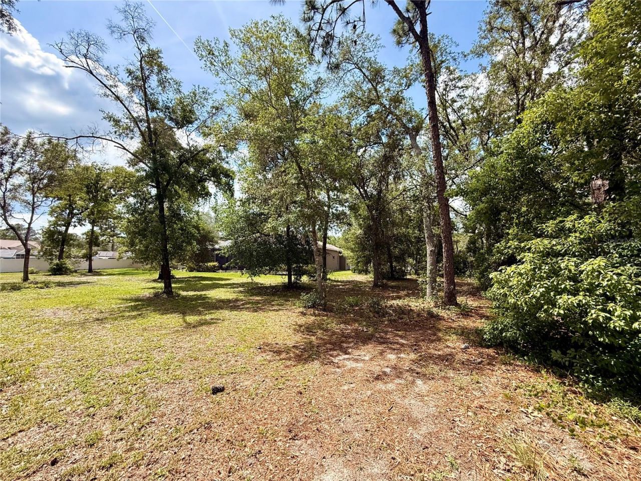 13110 Bamboo Street , Spring Hill, FL 34609 Photo