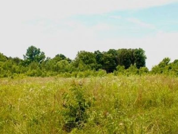 482 Friendship Lane , Delano, TN 37325