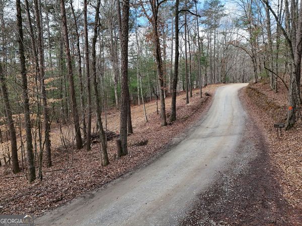 LT 45A Synacia Drive, Mineral Bluff, GA 30559