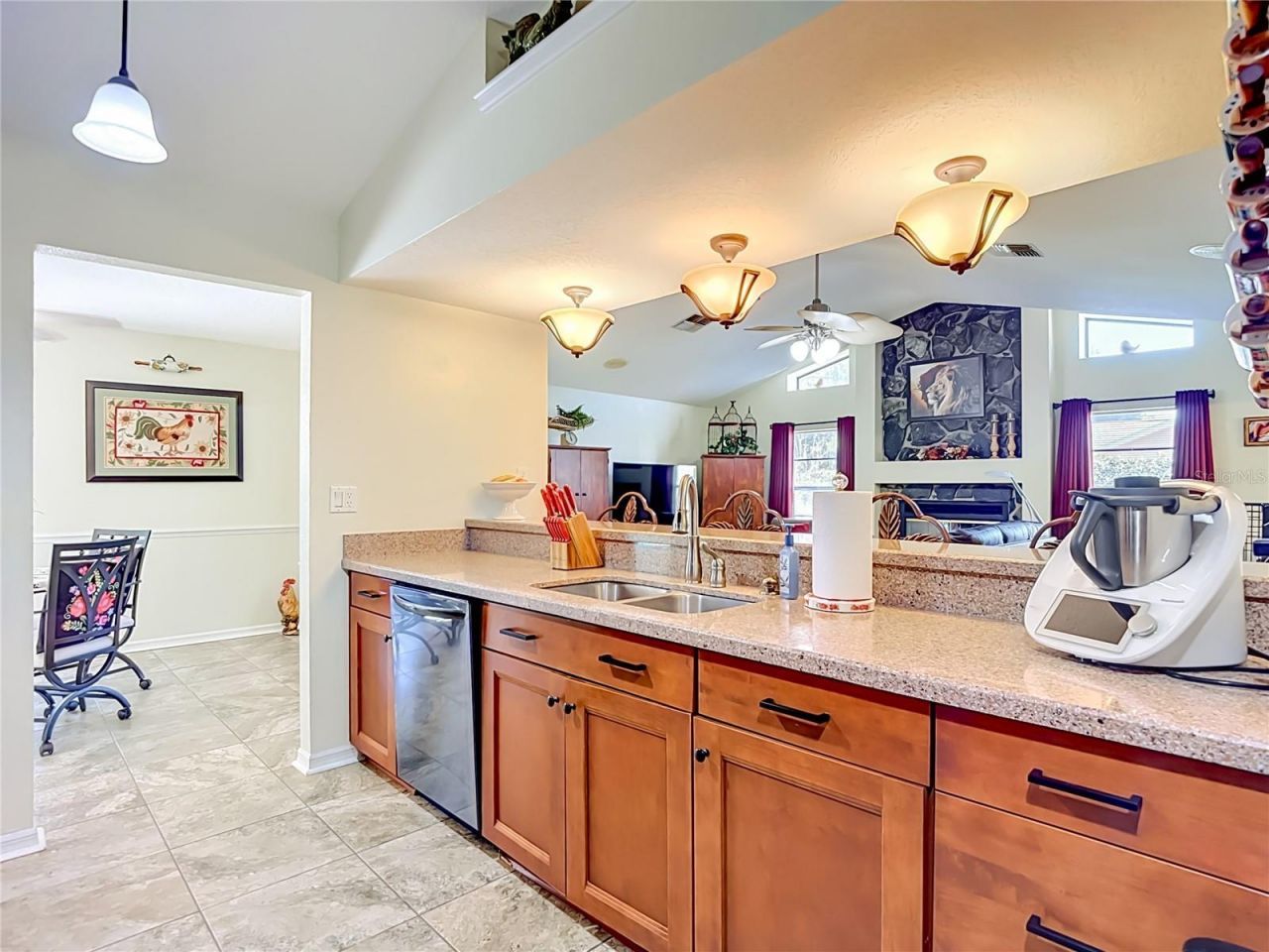 4306 River Birch Drive , Spring Hill, FL 34607 Photo