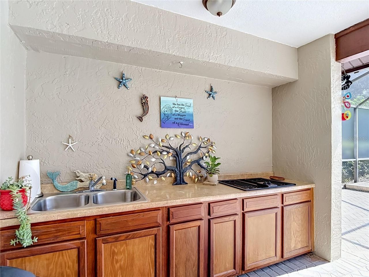 4306 River Birch Drive , Spring Hill, FL 34607 Photo