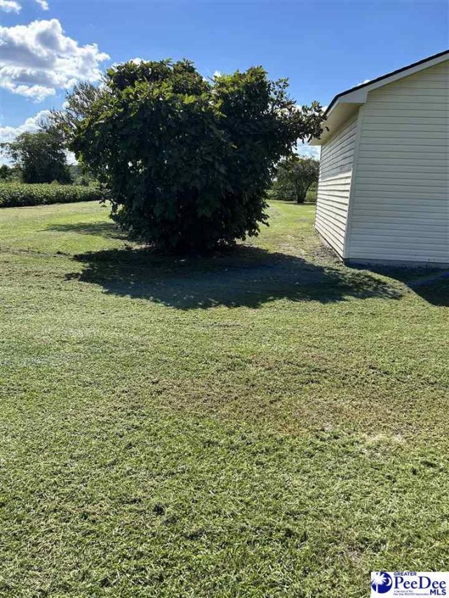 298 Planters Drive Photo 8