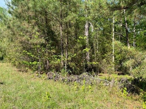 0 Doe Run Road , Centreville, AL 35042