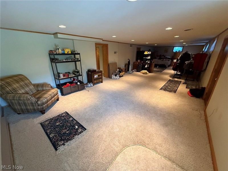4223 Blacksnake Hill Road NE, Dover, OH 44622 Photo 38