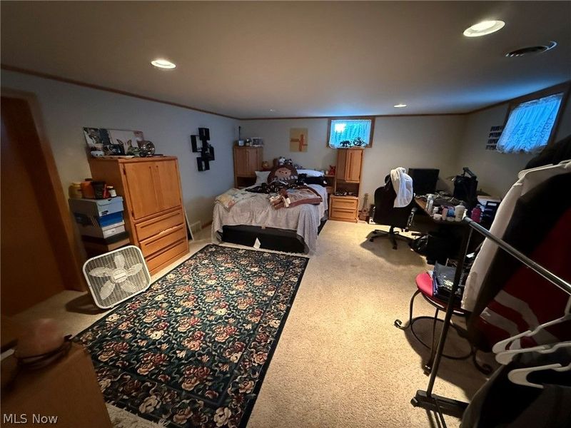 4223 Blacksnake Hill Road NE, Dover, OH 44622 Photo 41