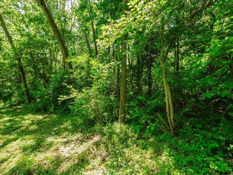 0 Elliot, Put in Bay, OH 43456 Photo 12