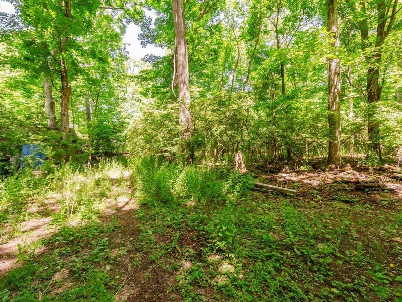 0 Elliot, Put in Bay, OH 43456 Photo 5