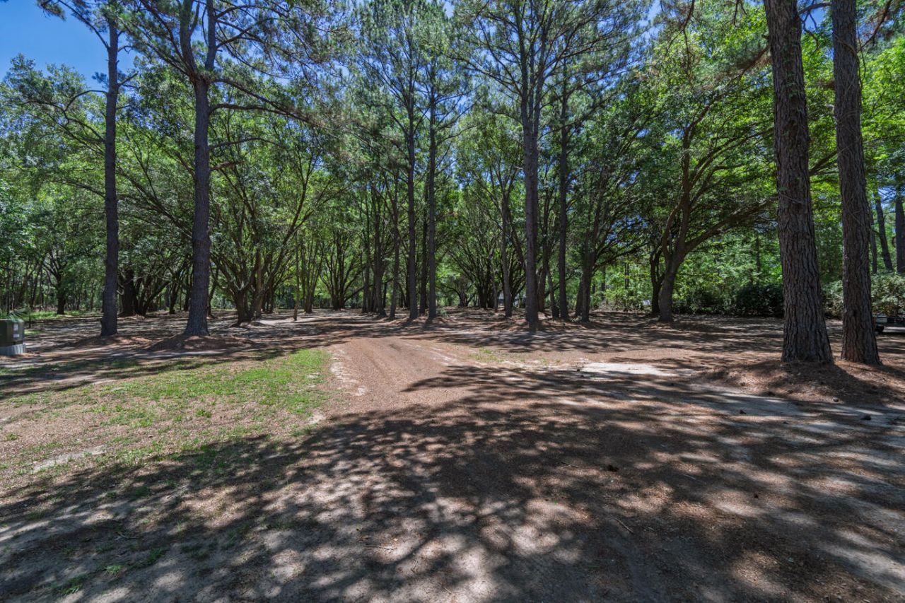 8730 Marsh Aire Lane Photo 66
