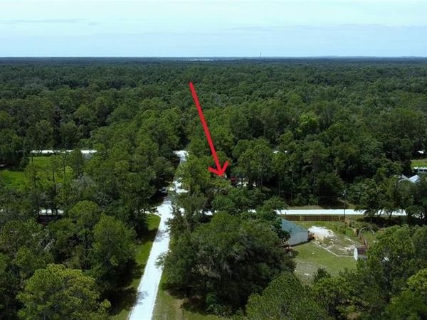 9113 Garetta AVE, WEBSTER, FL 33597