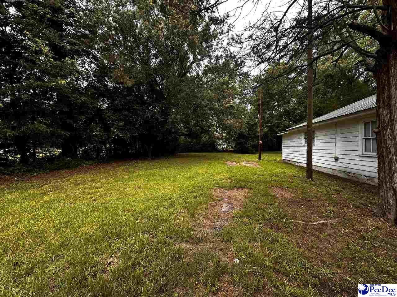 116 Reid St Photo 5