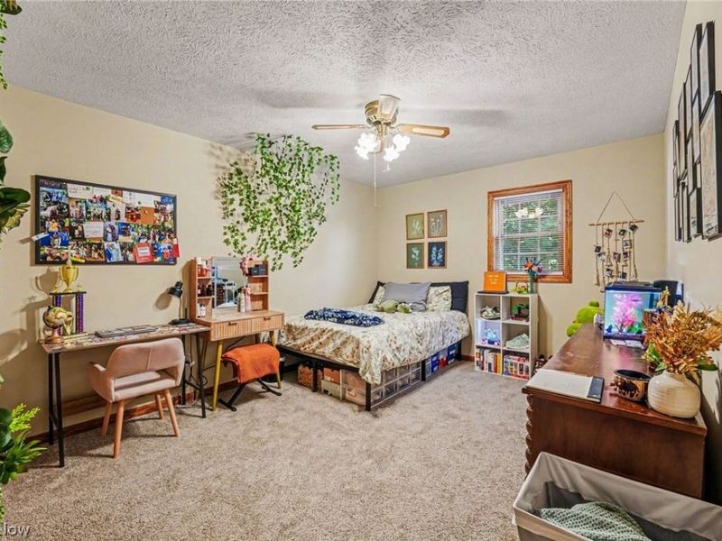 1907 Opal Street, Louisville, OH 44641 Photo 23