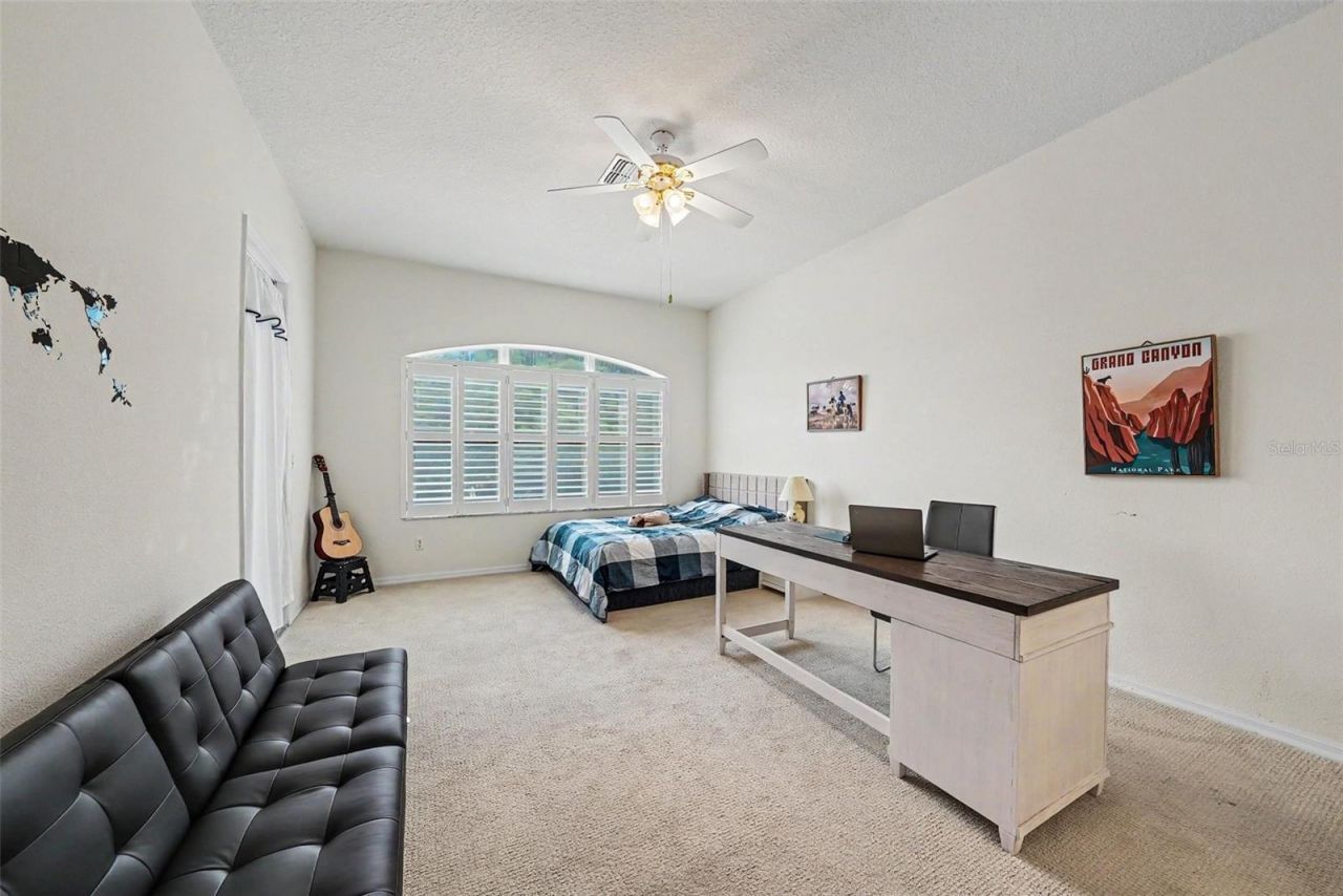 7411 Wimpole Drive , New Port Richey, FL 34655 Photo