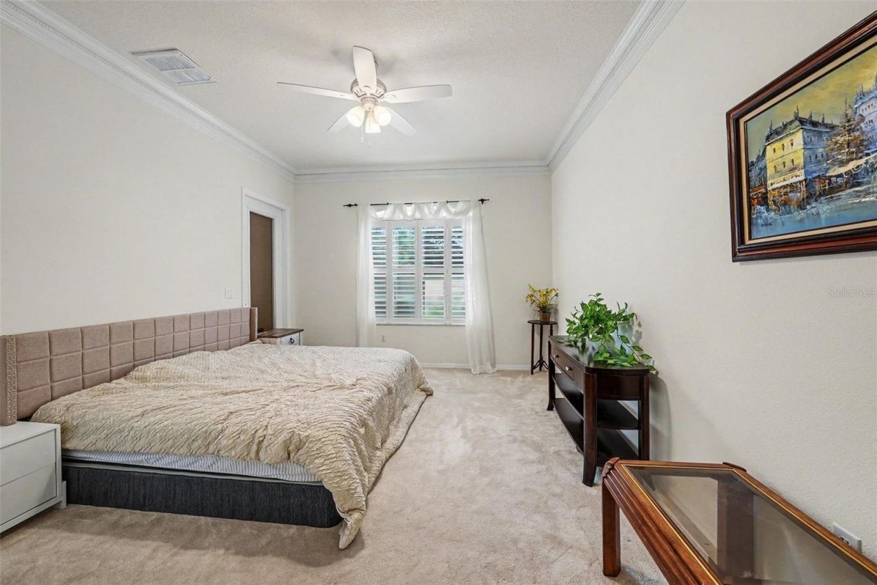 7411 Wimpole Drive , New Port Richey, FL 34655 Photo