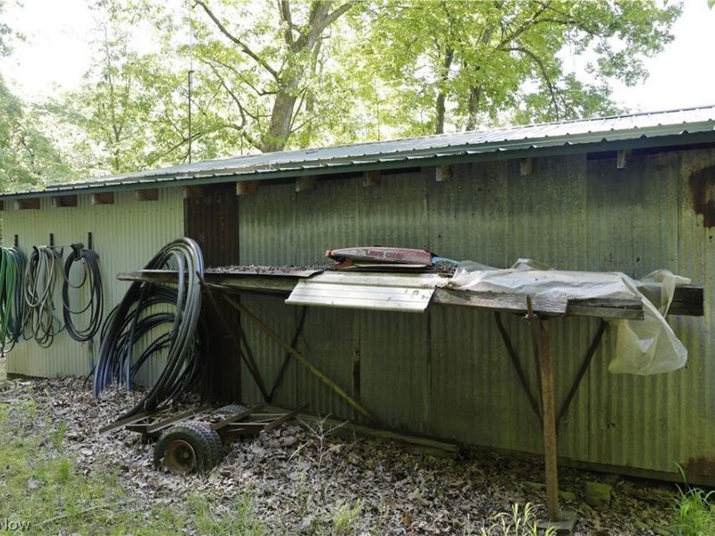 13171 Private Road 231, Big Prairie, OH 44611 Photo 10