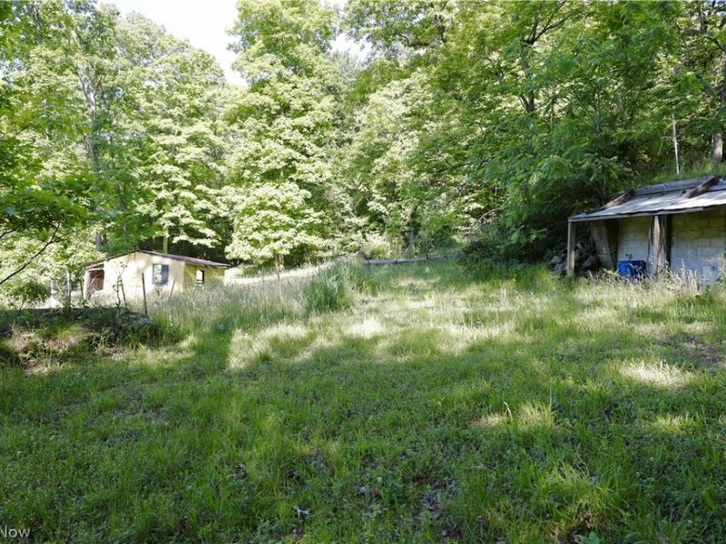 13171 Private Road 231, Big Prairie, OH 44611 Photo 15