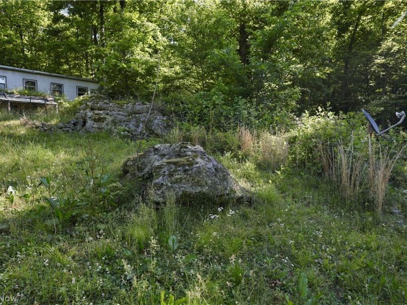 13171 Private Road 231, Big Prairie, OH 44611 Photo 18