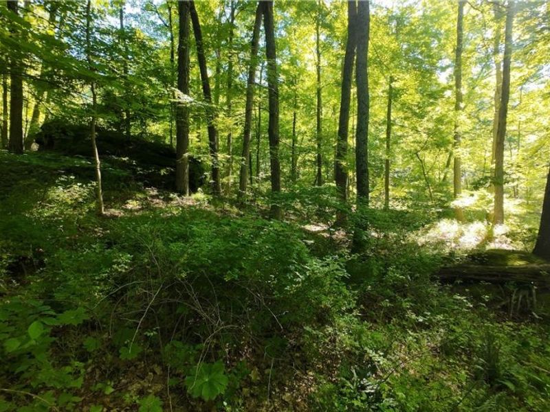 13171 Private Road 231, Big Prairie, OH 44611 Photo 19
