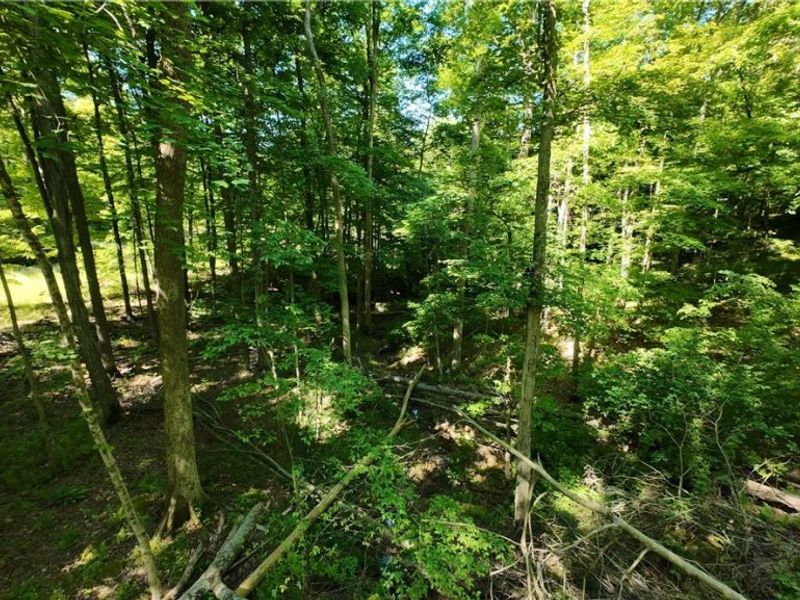 13171 Private Road 231, Big Prairie, OH 44611 Photo 20
