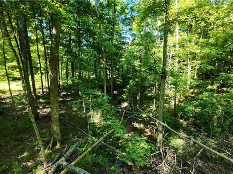 13171 Private Road 231, Big Prairie, OH 44611 Photo 21