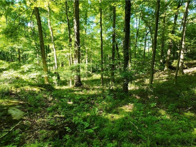 13171 Private Road 231, Big Prairie, OH 44611 Photo 24