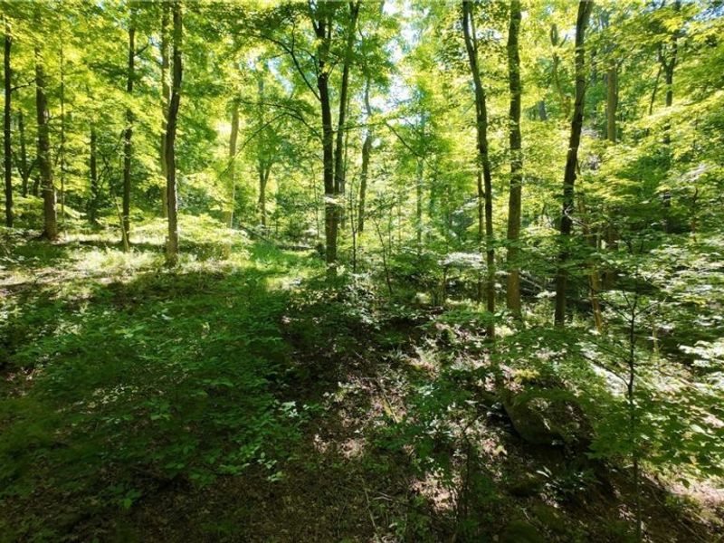 13171 Private Road 231, Big Prairie, OH 44611 Photo 25