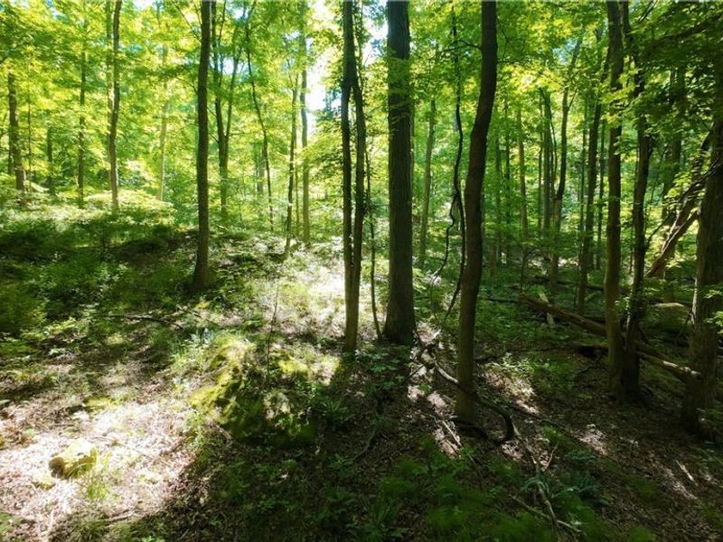 13171 Private Road 231, Big Prairie, OH 44611 Photo 26