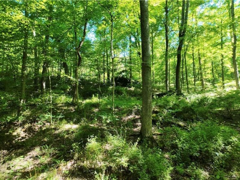 13171 Private Road 231, Big Prairie, OH 44611 Photo 27