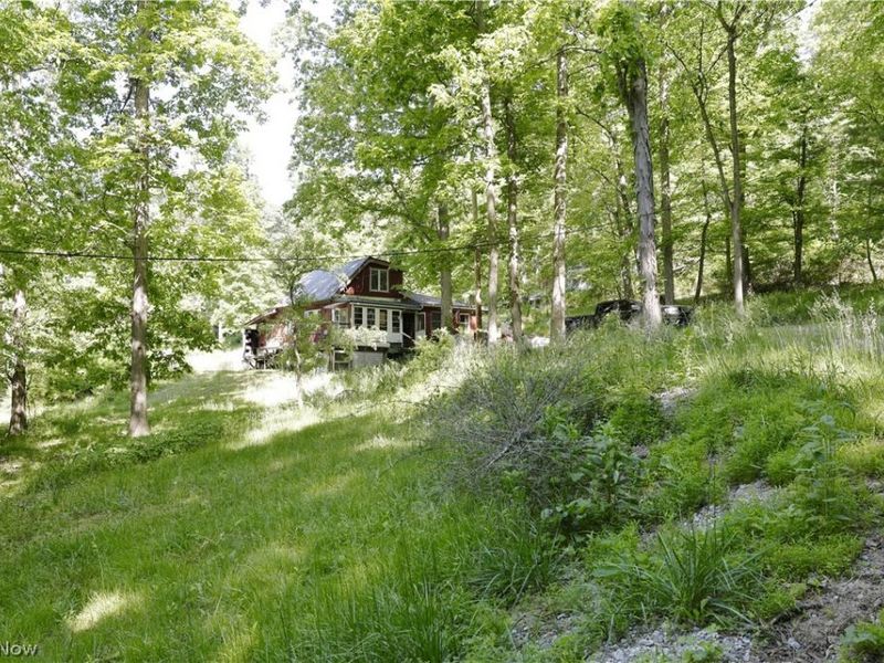 13171 Private Road 231, Big Prairie, OH 44611 Photo 28