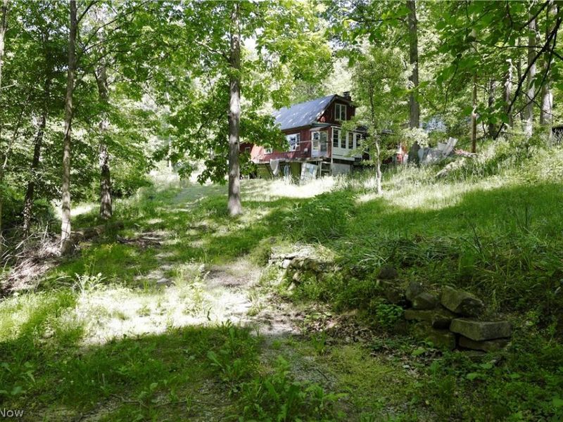 13171 Private Road 231, Big Prairie, OH 44611 Photo 29