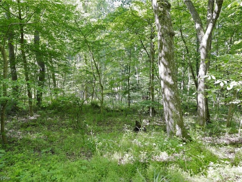 13171 Private Road 231, Big Prairie, OH 44611 Photo 30
