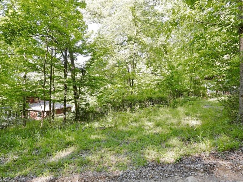13171 Private Road 231, Big Prairie, OH 44611 Photo 31