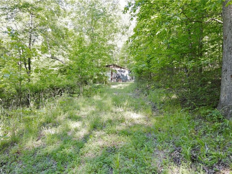 13171 Private Road 231, Big Prairie, OH 44611 Photo 32