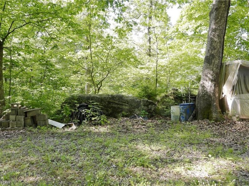 13171 Private Road 231, Big Prairie, OH 44611 Photo 33