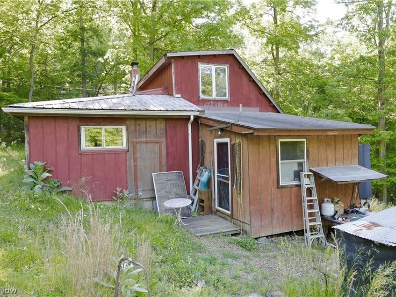 13171 Private Road 231, Big Prairie, OH 44611 Photo 4