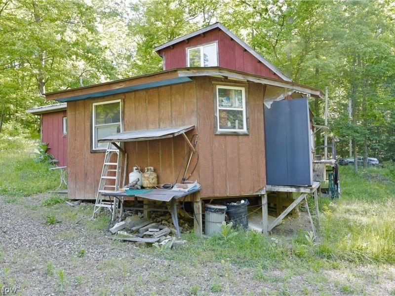 13171 Private Road 231, Big Prairie, OH 44611 Photo 5