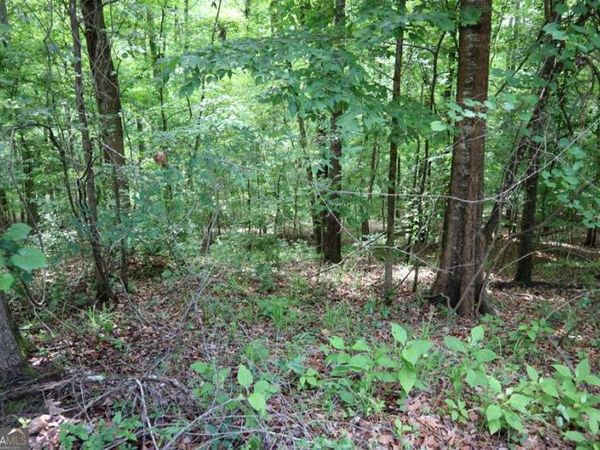 LT.102 Village Court SW, Sparta, GA 31087
