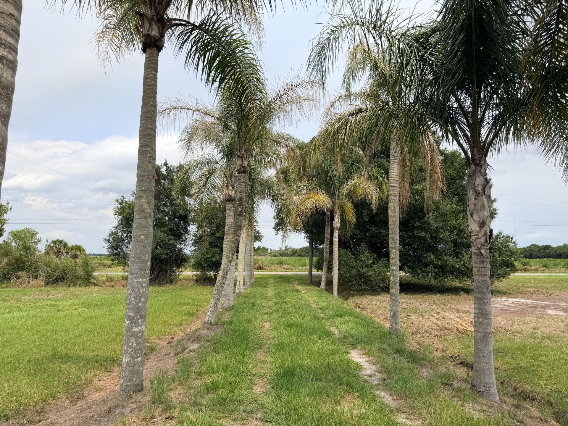 15395 NW 30th Terrace, Okeechobee, FL 34972 Photo