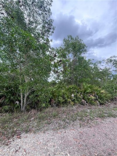 13880 Stonehurst Ln , Bokeelia, FL 33922 Photo